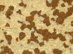 Image0006.gif (42014 octets)